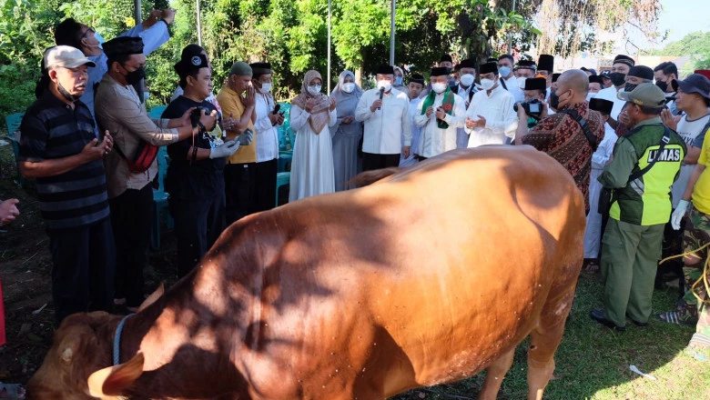 Wanti-wanti Wali Kota ke Panitia Kurban, Minta Minimalisir Penggunaan Plastik dalam Pembagian Daging