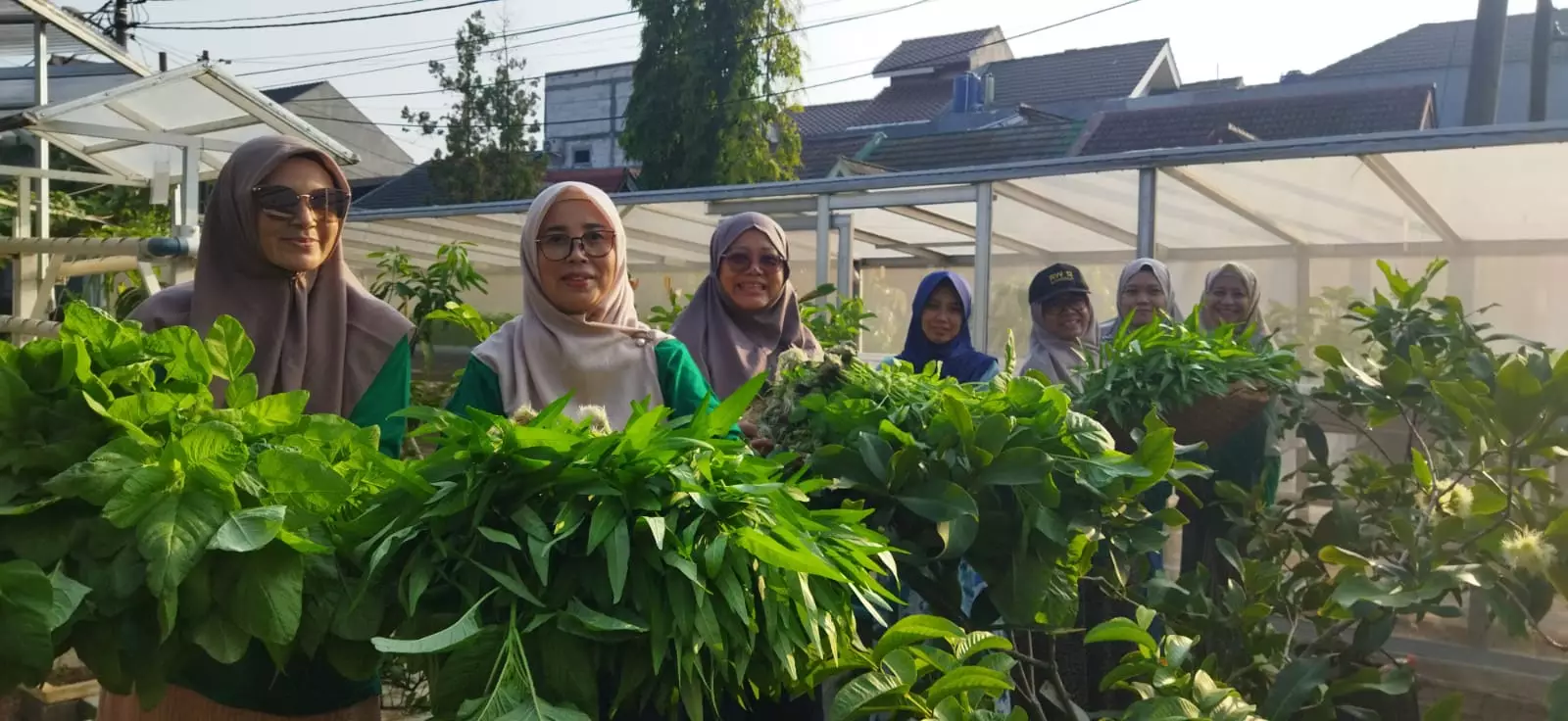 Hasil Panen Sayuran Hidroponik Pagertani Bantu Anak Stunting di Rangkapan Jaya