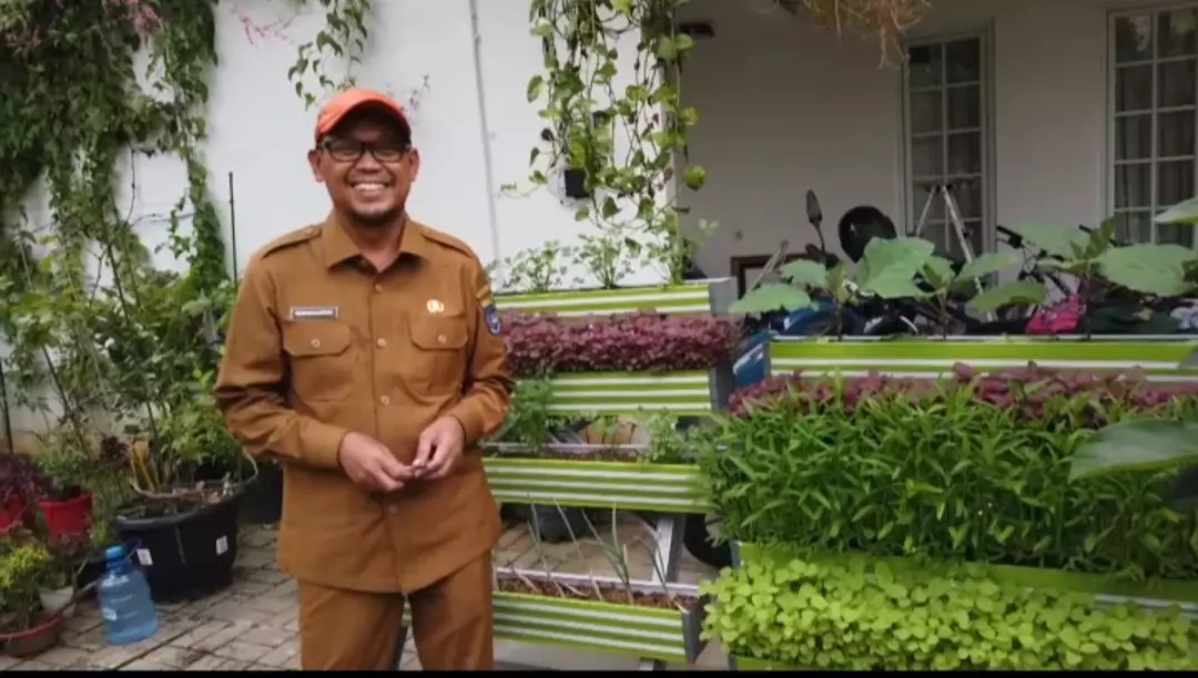 Intip Keseruan Bang Imam Panen Sayur-Mayur di Pekarangan Rumah