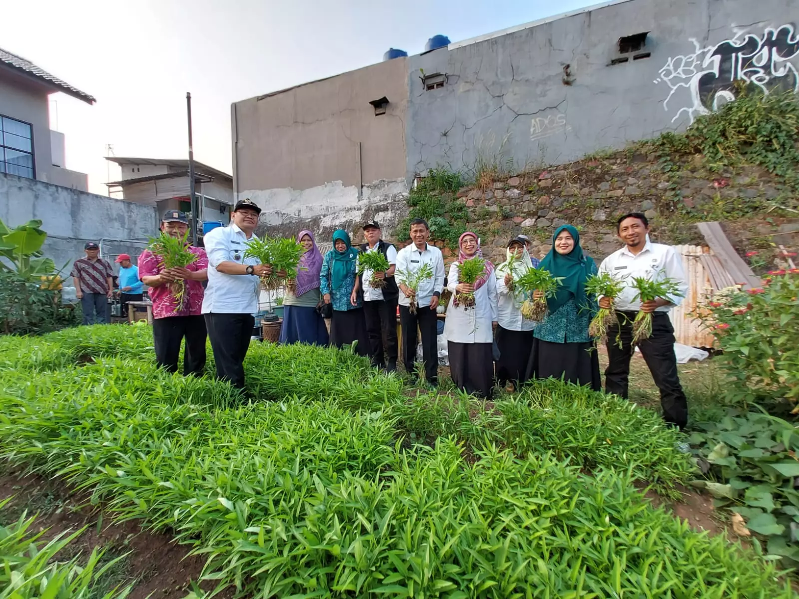 Pemkot Depok Panen Lele dan Kangkung di P2L Kampung Caraka Jatijajar