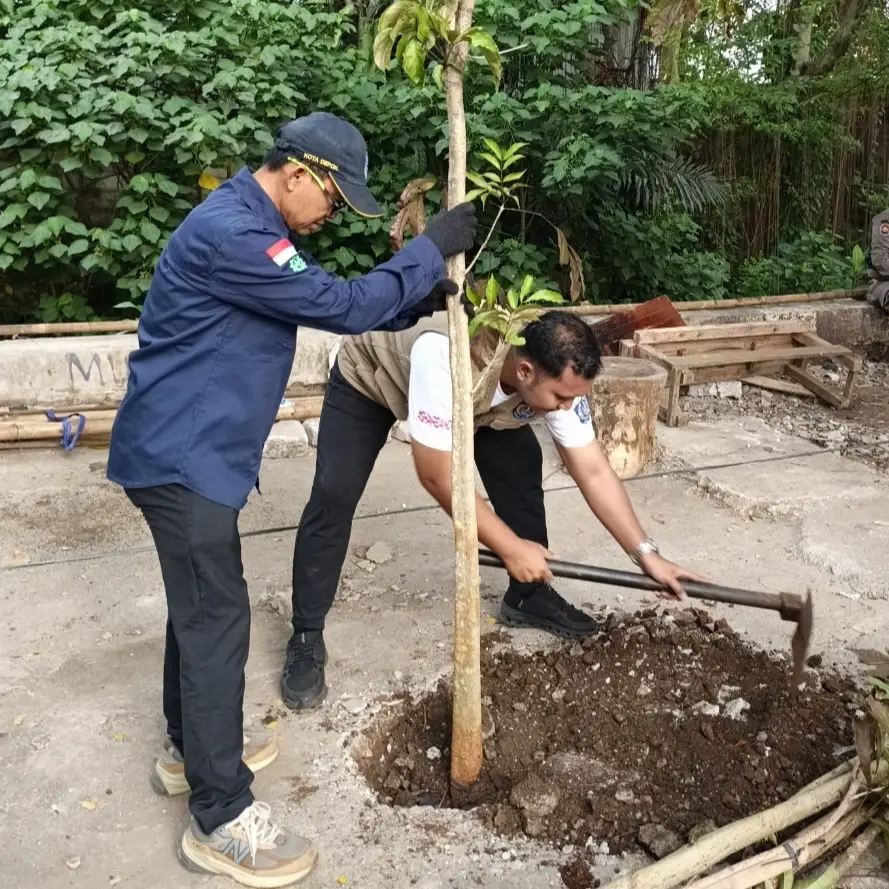 Penghijauan Terus Digalakkan, Sakura Tropis Kini Mulai Hiasi Sudut Kota Depok