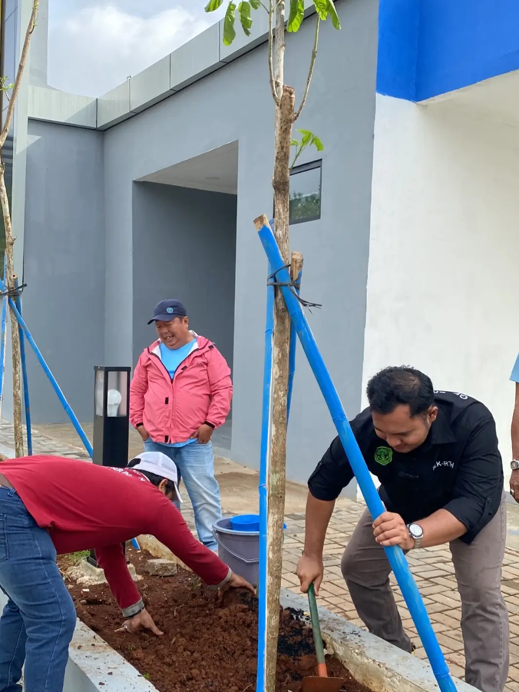 Program Satu Minggu Satu Pohon Terus Berlanjut: Tabebuya Hiasi Lapangan Mekarsari