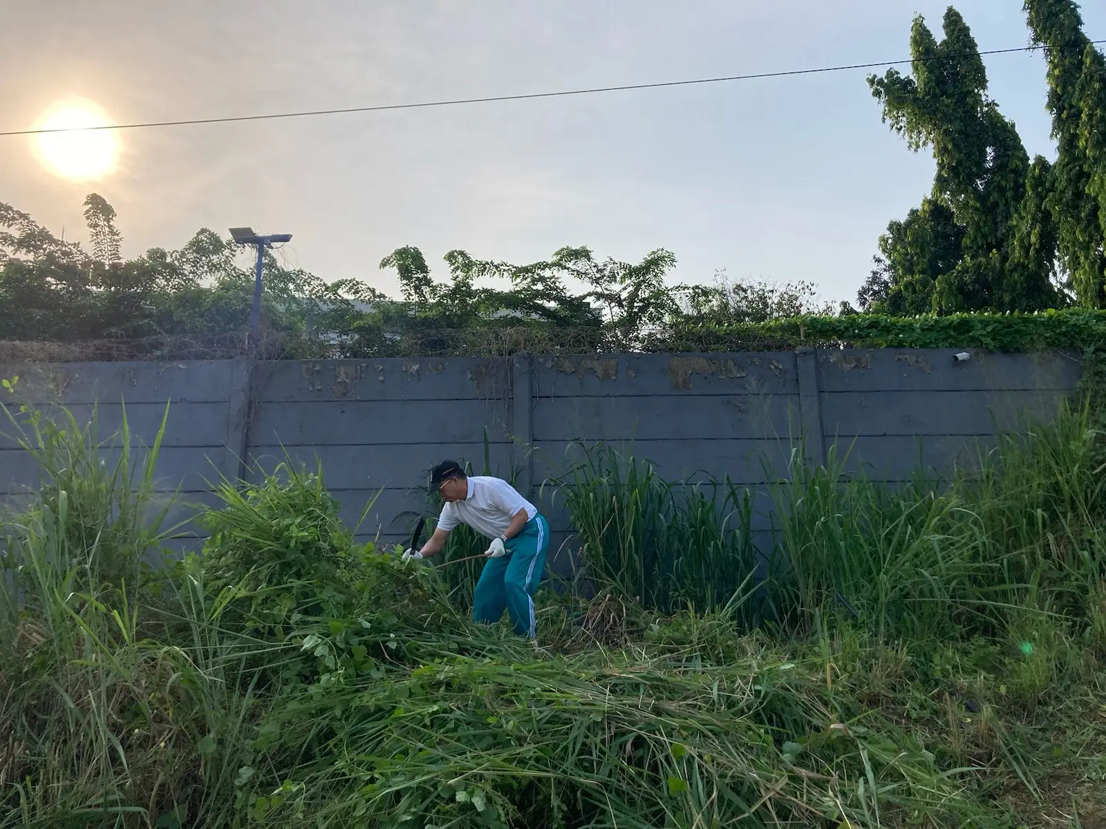 Diskominfo Depok Kompak Kerja Bakti Bersihkan Ilalang di Kecamatan Limo