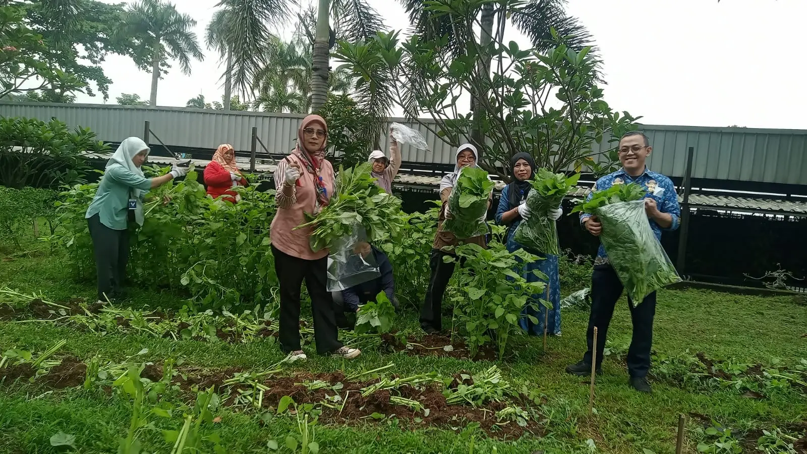 Dari Lahan Urban Farming ke 'Piring' Keluarga Rawan Stunting di Cisalak