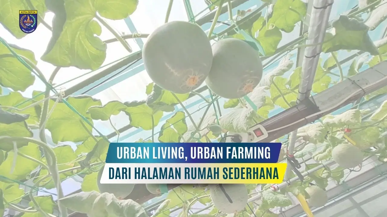 Urban Living, Urban Farming Dari Halaman Rumah Sederhana