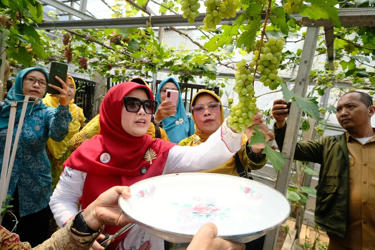 Melihat 'Wajah Baru' Pertanian Kota Depok