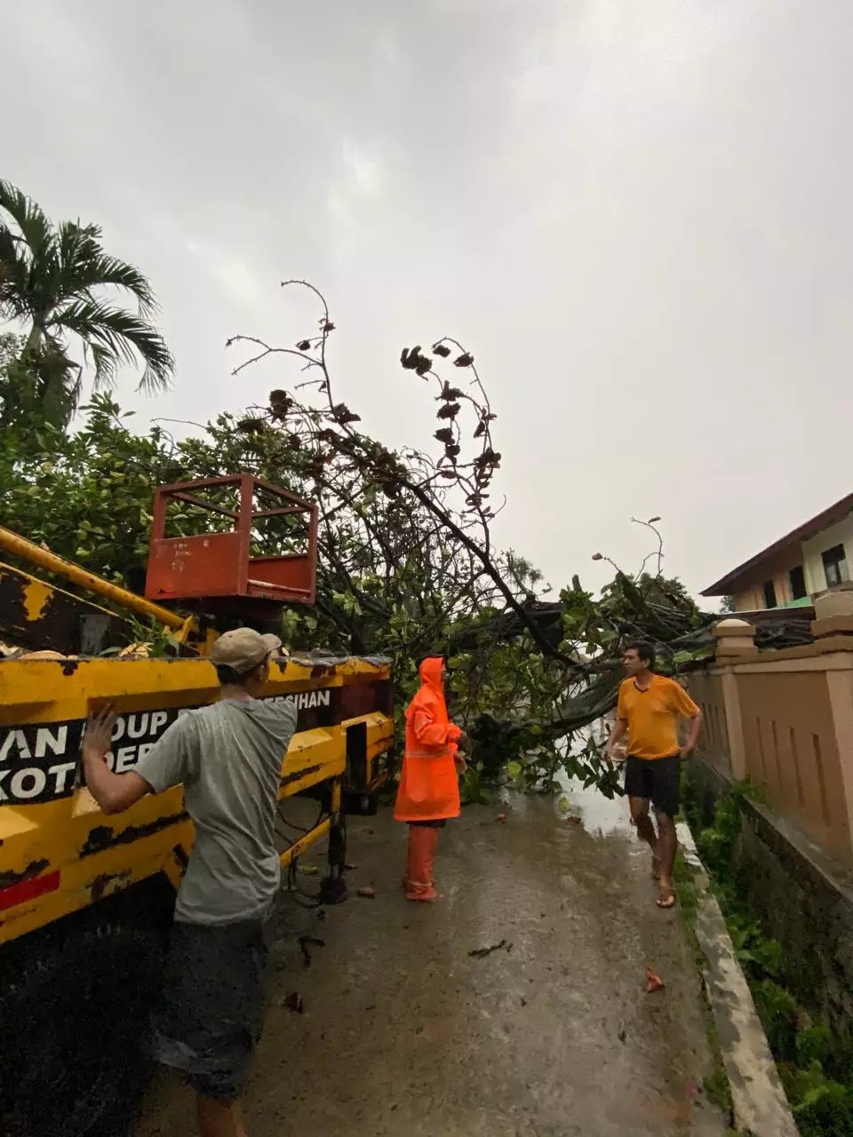 DLHK Depok Imbau Warga Jauhi Pohon Besar Saat Hujan Angin