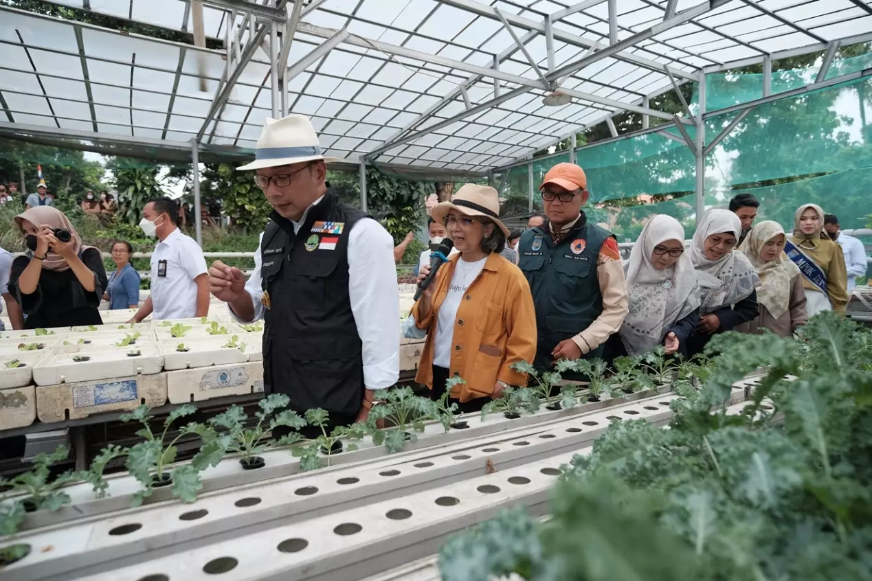 Gubernur Jawa Barat Bersama Wakil Wali Kota Depok Kunjungi Kebun Hidroponik dan Stand UMKM di Taman Kaldera Jatijajar