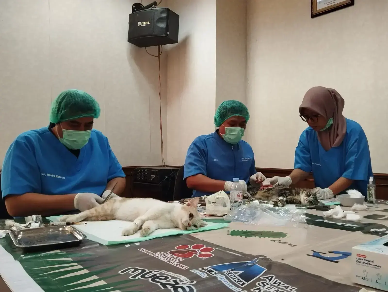 Sambut Kemerdekaan RI, Warga Antusias Manfaatkan Sterilisasi Kucing Gratis dari Pemkot Depok