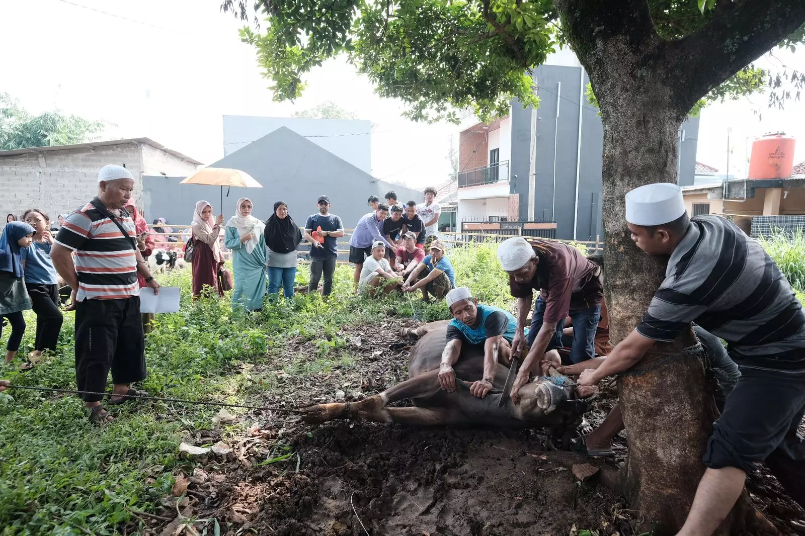 Ketua TP-PKK Kota Depok Ungkap Makna Iduladha 1445 Hijriah, Momentum Menebar Jiwa Berkorban