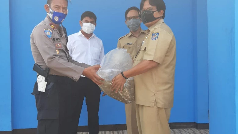 BBI Depok Sudah Salurkan Bantuan 70 Ribu Benih Ikan