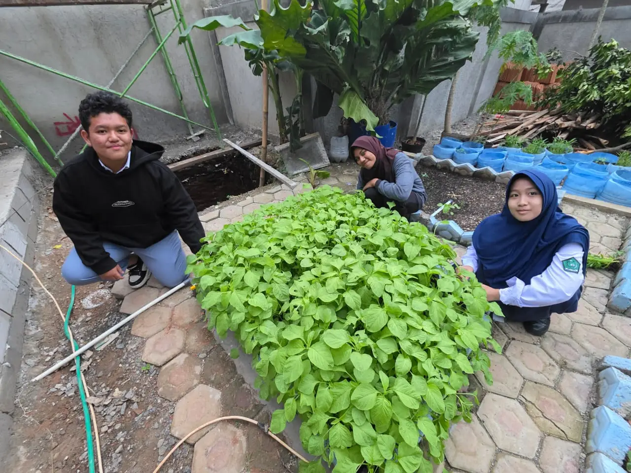 Bentuk Ketahanan Pangan Lokal, Remaja Jatijajar Kembangkan Urban Farming