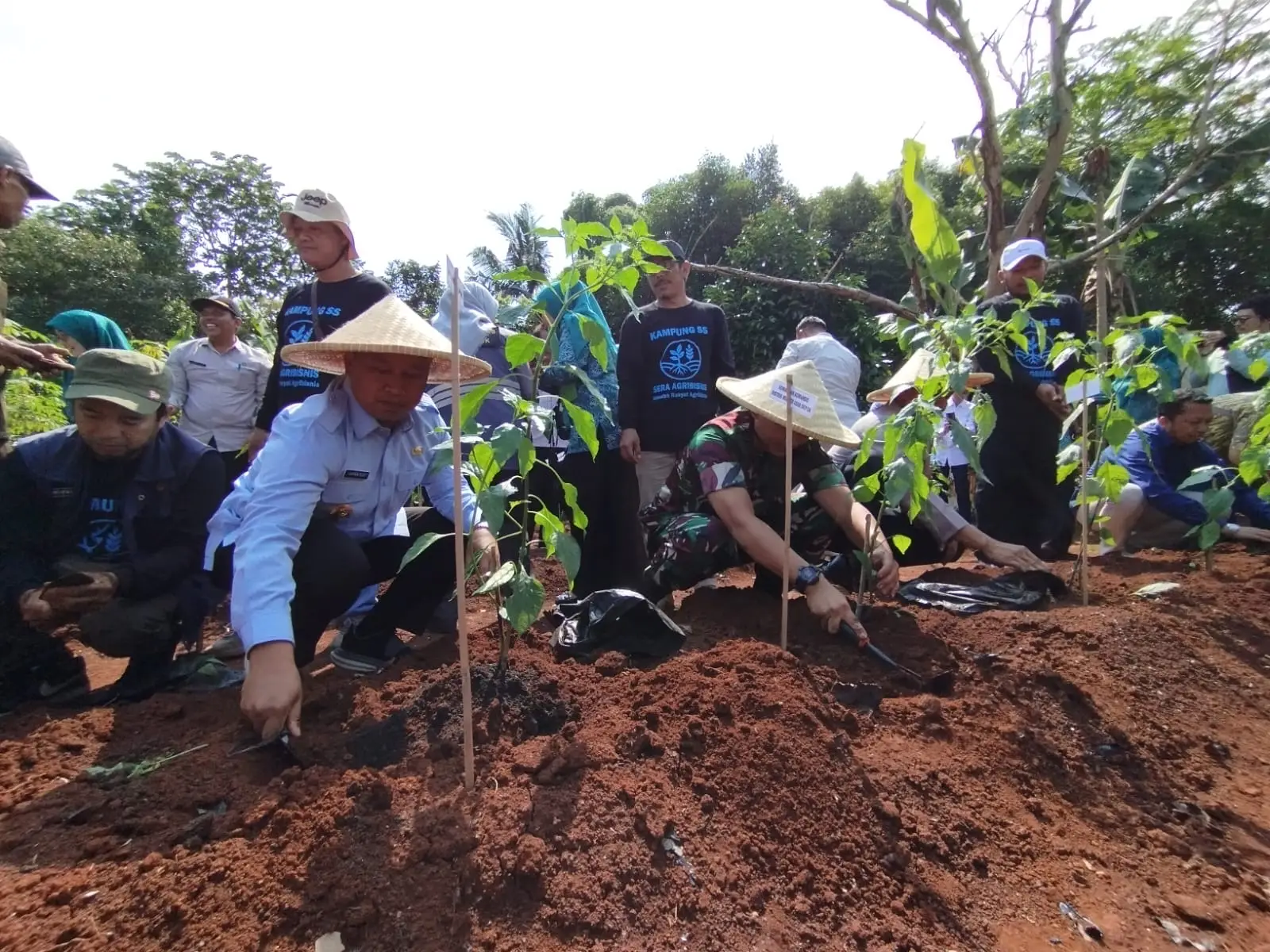 Wali Kota Depok Resmikan Gerakan Depok Tanam Cabai Serentak dan SERA AGRIBISNIS