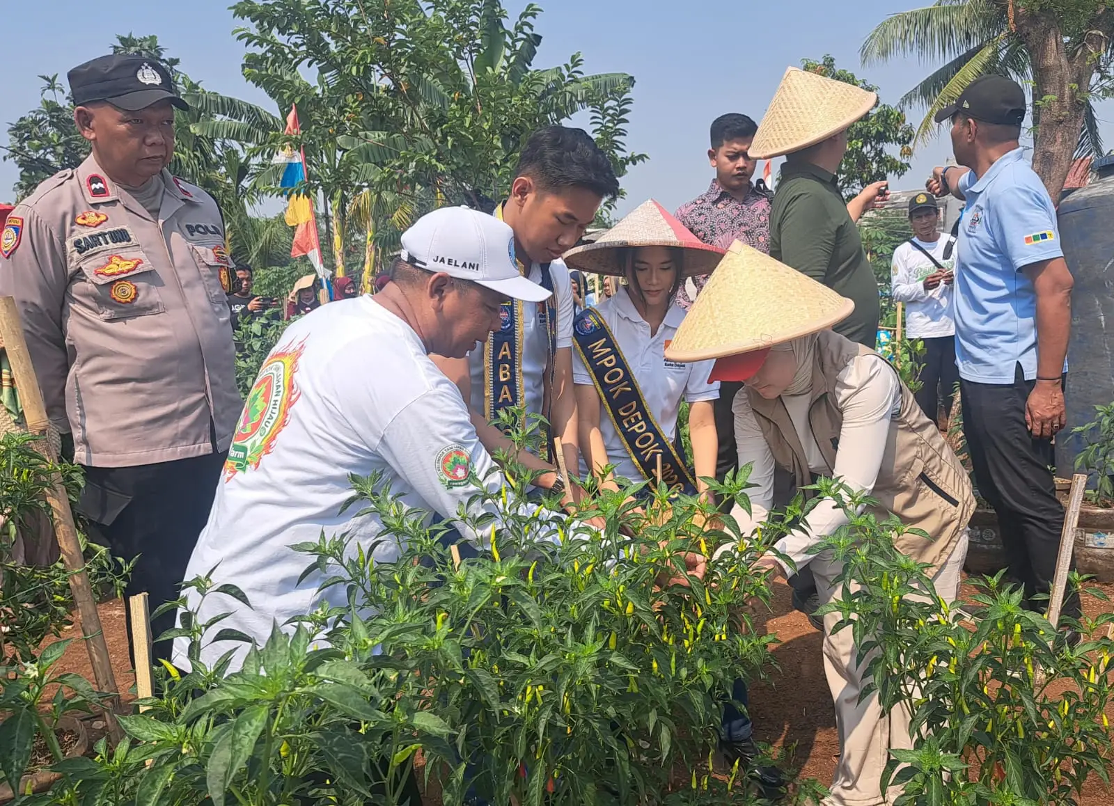 Panen 10 Kg Cabai, Rawageni Farm Depok Buktikan Lahan Kosong Bisa Produktif