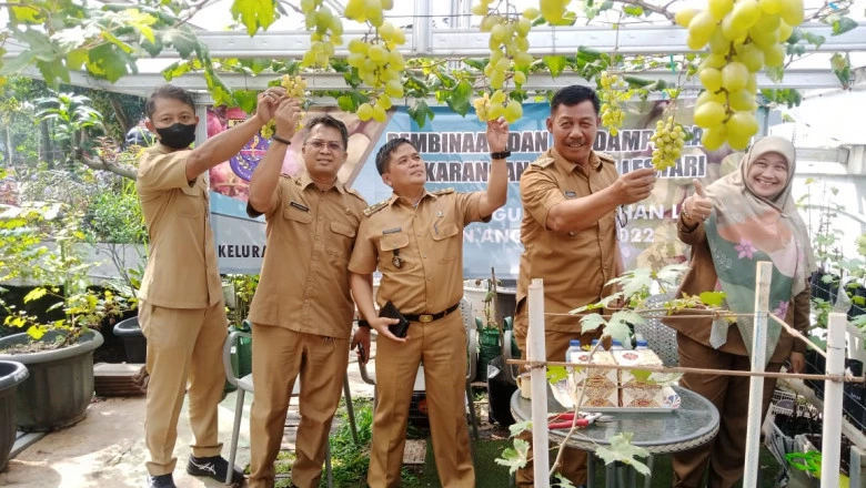 Camat Limo Dukung Pengembangan Budidaya Tanaman Anggur