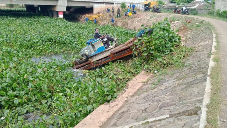 Bersihkan Gulma di Situ Pengarengan, DPUPR Turunkan Dua Alat Berat