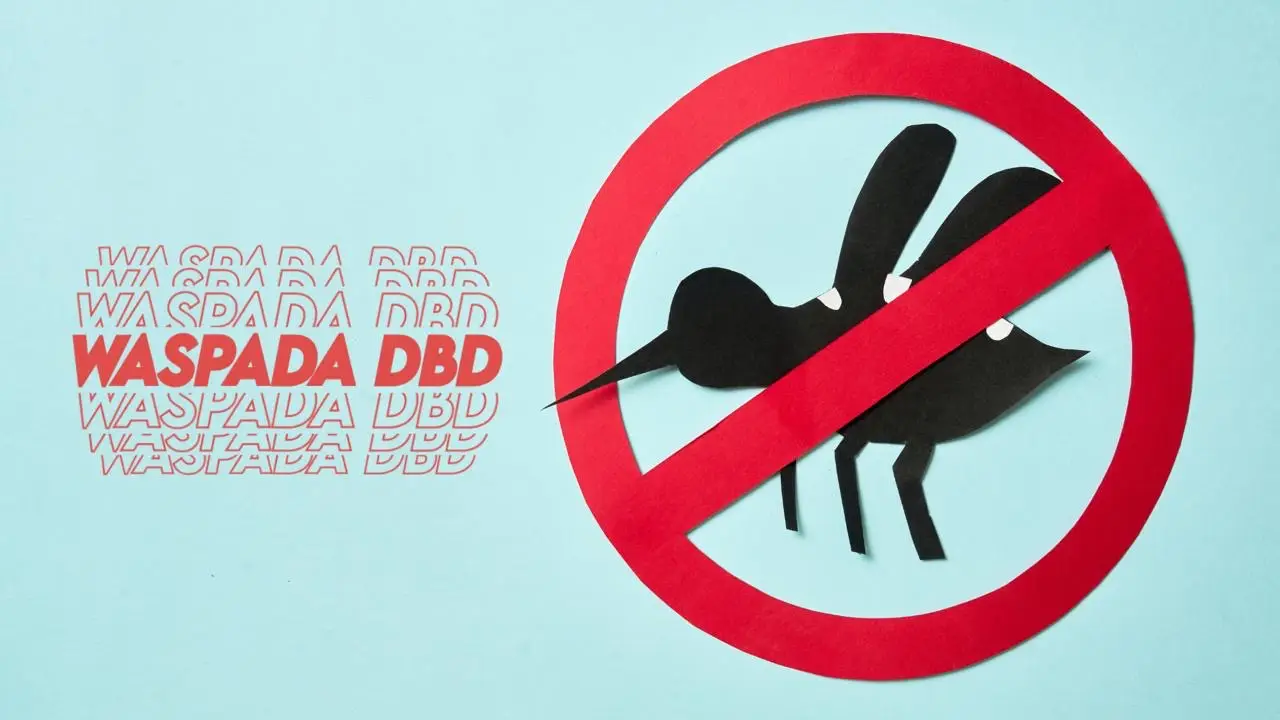 Waspada DBD Saat Musim Hujan, Tingkatkan Kewaspadaan dengan 3M Plus