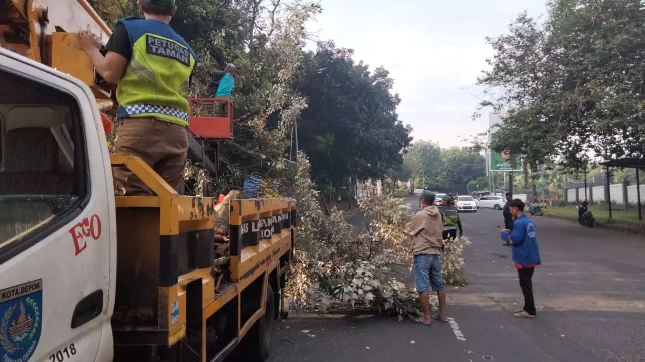 Pohon Tumbang di Jalan Tole Iskandar Sudah Ditangani Satgas DLHK