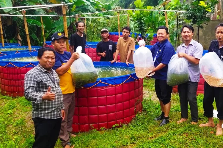 Pokdakan Katar Bojongsari Budidaya Ikan Nila