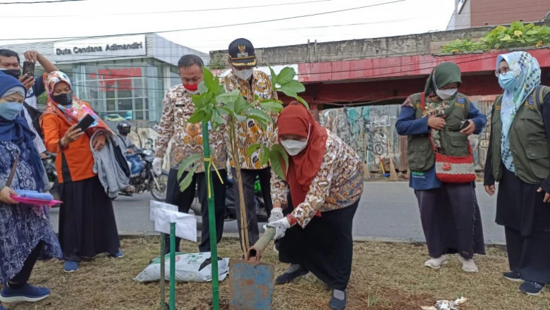 Peringati HPSN 2022, DLHK Depok Tanam 25 Pohon di Cinere