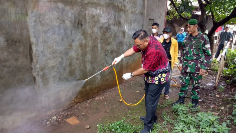 Lokasi Ulat Bulu di Harjamukti Disemprot Insektisida