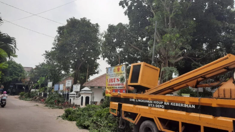 Antisipasi Tumbang, Enam Pohon di Kantor Kelurahan Sukmajaya Dipangkas
