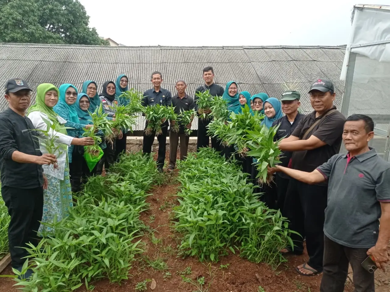 Kelurahan Mekarsari Kembangkan Urban Farming, Hasil Panen untuk Warga Membutuhkan