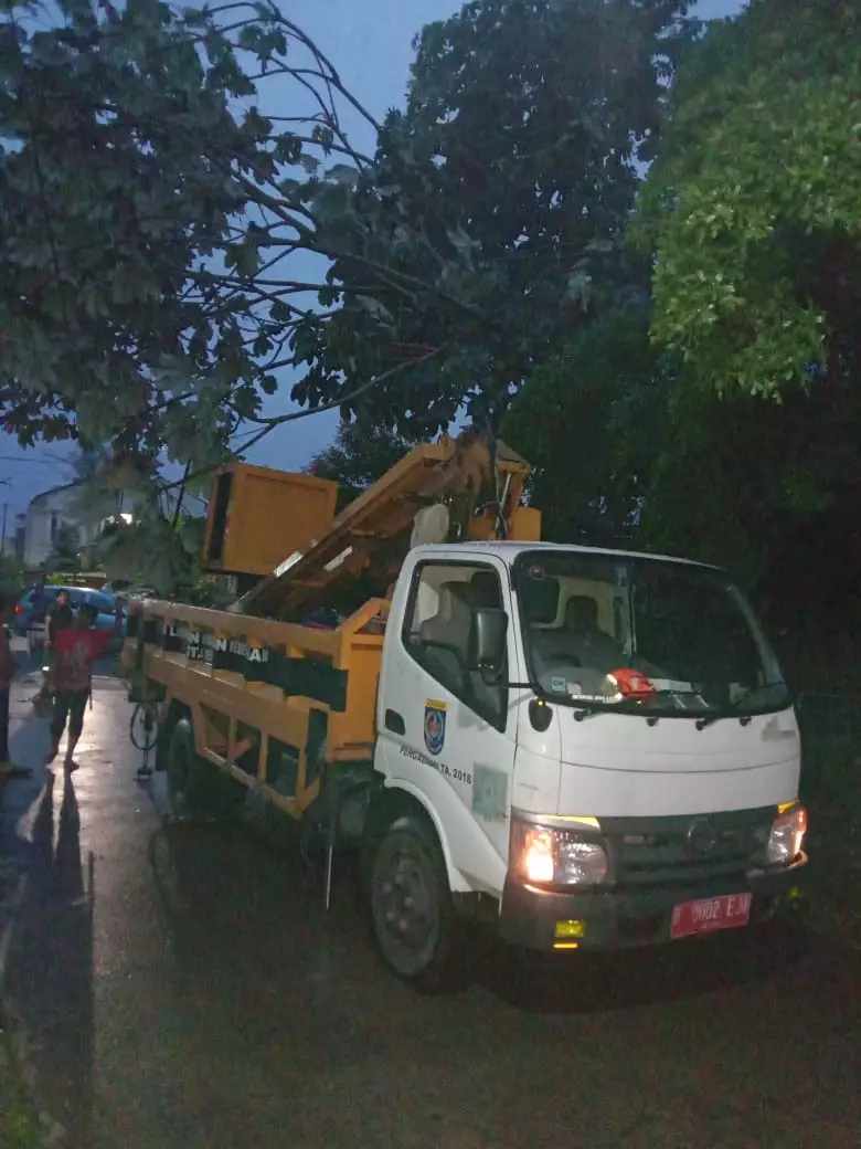Makna Hari Gerakan Satu Juta Pohon Bagi Kepala DLHK Depok
