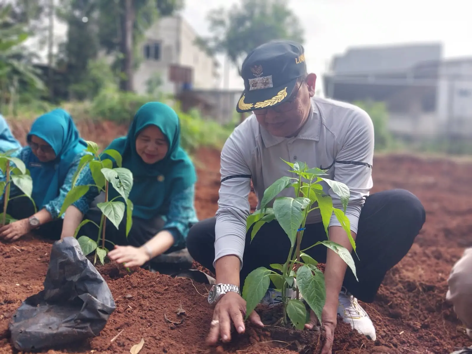 Bentuk Ketahanan Pangan Lokal, PKK Cimpaeun Tanam Cabai di RW 16