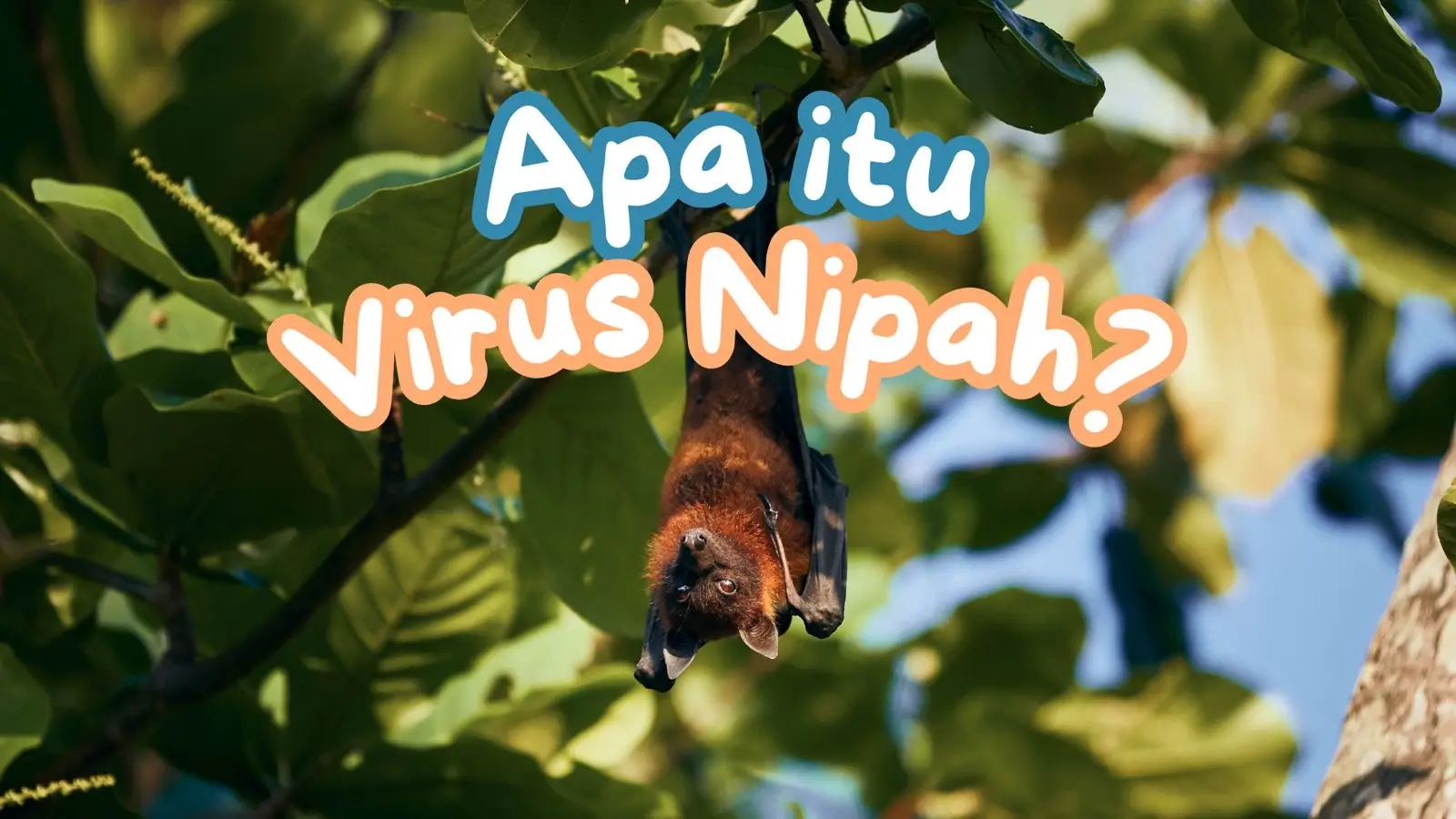 Mengenal Virus Nipah yang Kembali Jadi Atensi Kesehatan Global, Dinkes Depok Ingatkan Ini