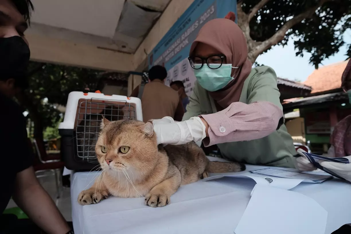 DKP3 Kota Depok Gelar Vaksin Rabies Gratis di Beji Timur
