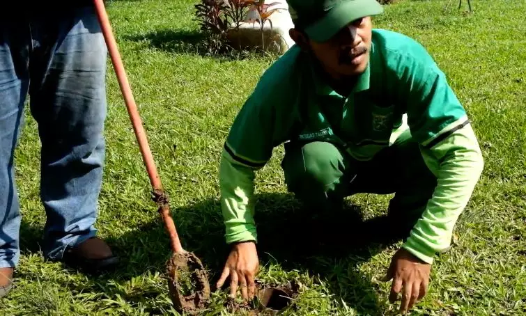 Setiap Rumah di Cimanggis Didorong Miliki Lubang Biopori