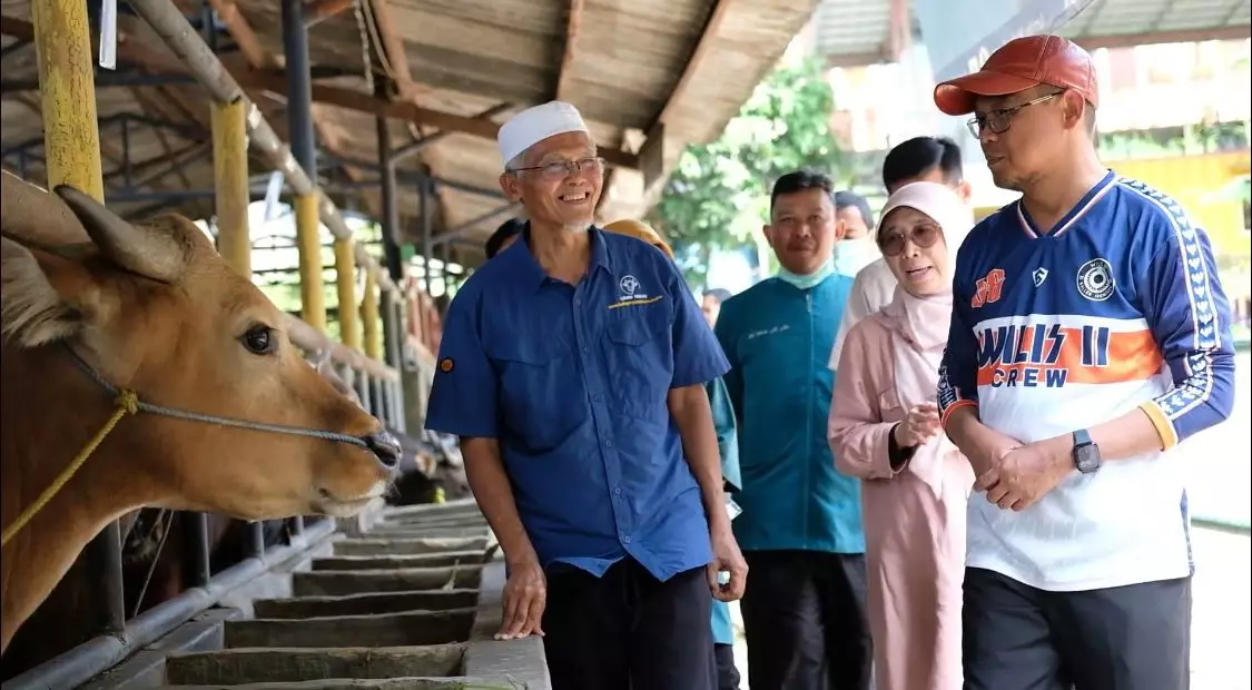 Sidak Hewan Kurban, Wakil Wali Kota Depok Jamin Semua Aman