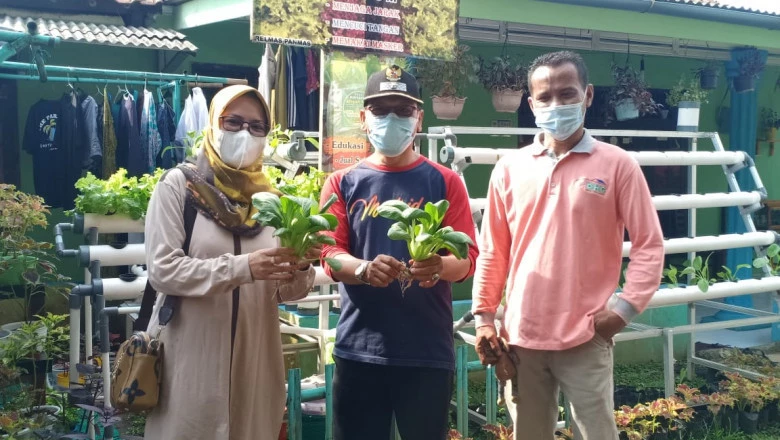 Lurah Panmas Ajak Warganya Buat Kebun Hidroponik