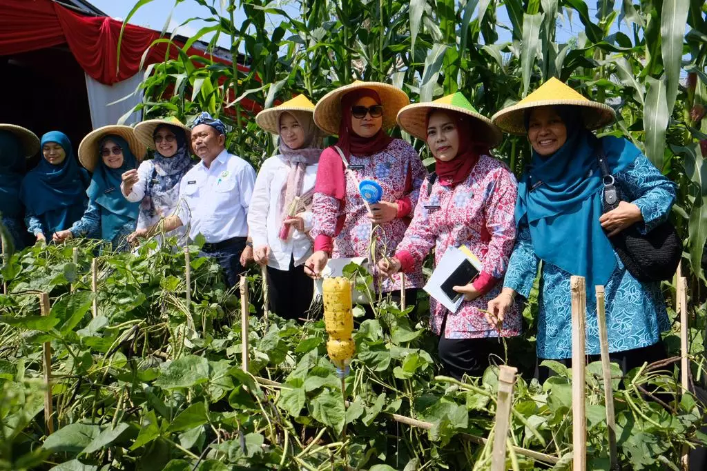 Kota Depok Optimistis Juarai Lomba Pemanfaatan Pekarangan Tingkat Provinsi