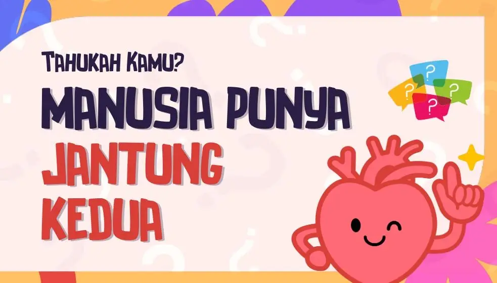 Tahukah Kamu? Manusia Ternyata Punya Jantung 'Kedua', Simak Fakta Medisnya