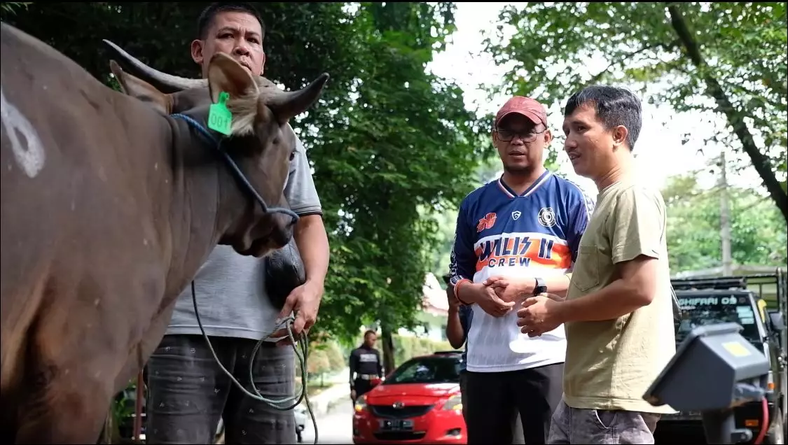 Jelang Iduladha, Bang Imam Berikan Tips Cara Memilih Hewan Kurban
