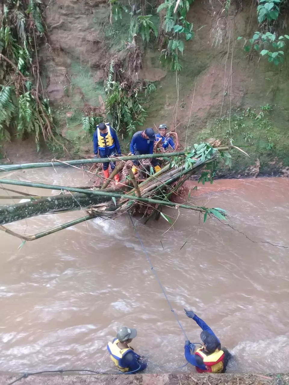 Pohon Tumbang dari Pinggir Kali Angke Pontir Dievakuasi
