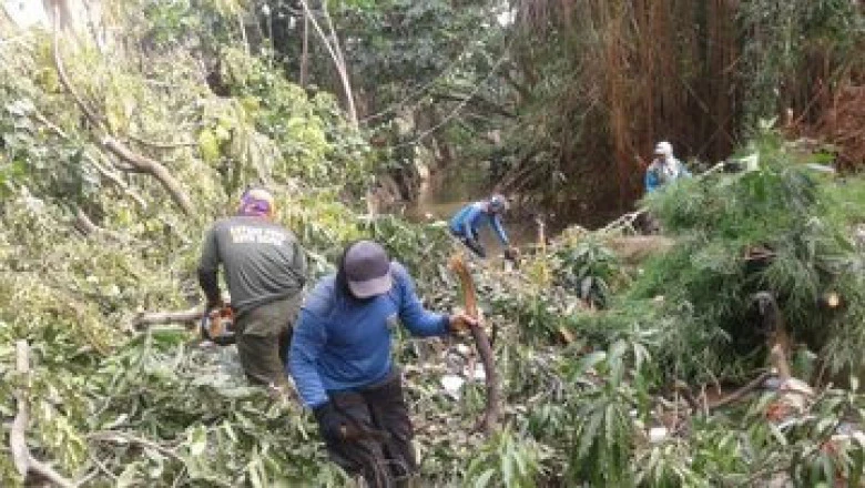 Pasca Banjir, DLHK Siapkan 100 Unit Truk Sampah