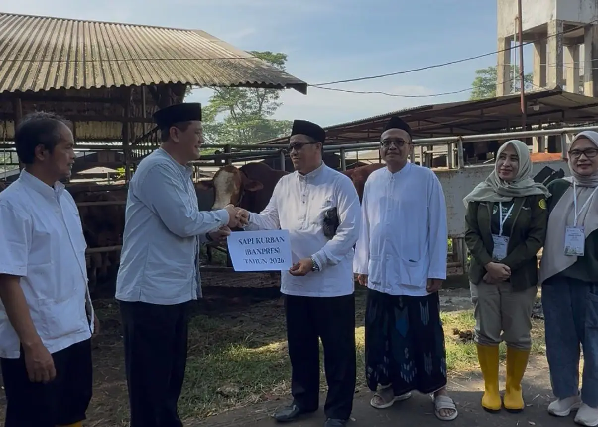 Sapi Kurban Banpres Prabowo Disembelih, Ratusan Kilogram Daging Siap Disalurkan untuk Warga Sawangan