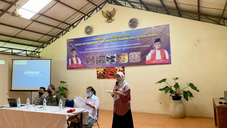 DKP3 Depok Gelar Pelatihan Budidaya Satwa Harapan