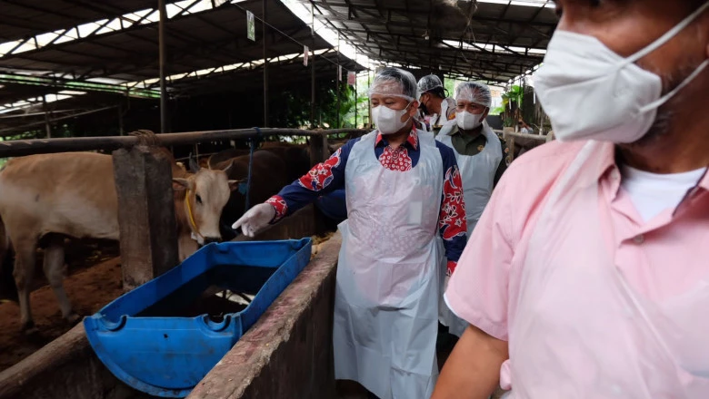 Sekda Depok Instruksikan Camat dan Lurah Awasi Lapak Hewan Kurban