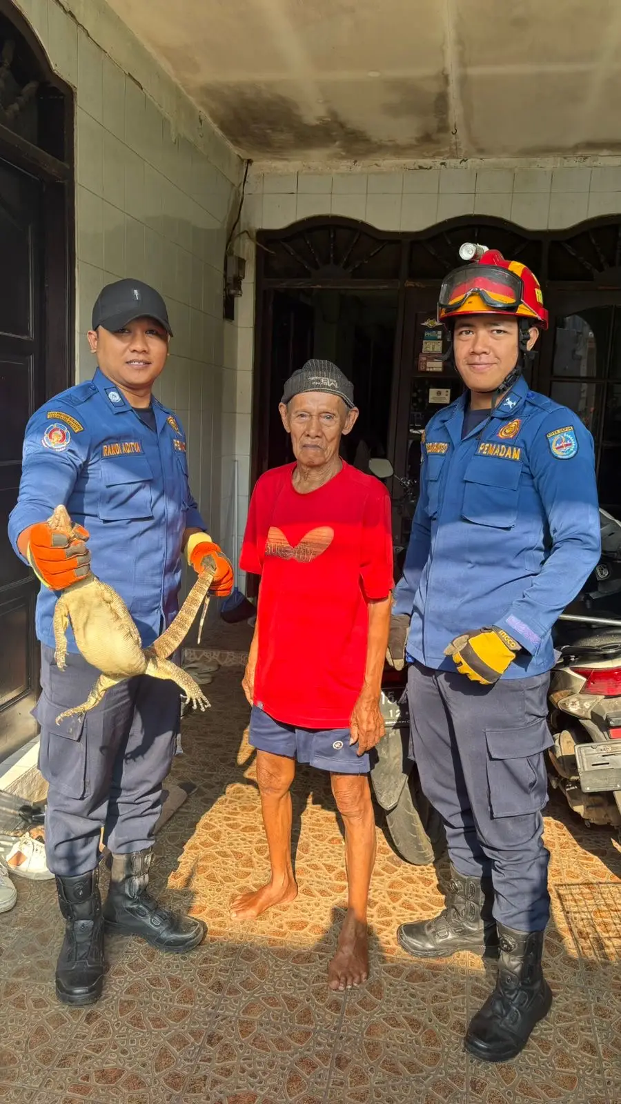 Petugas Damkar Depok Evakuasi Ular di Kamar Mandi dan Biawak di Kandang Warga