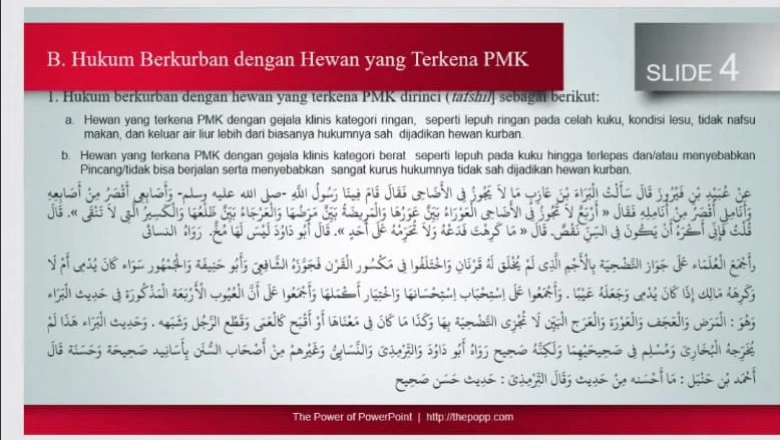 Begini Hukum Berkurban dengan Hewan yang Terkena PMK