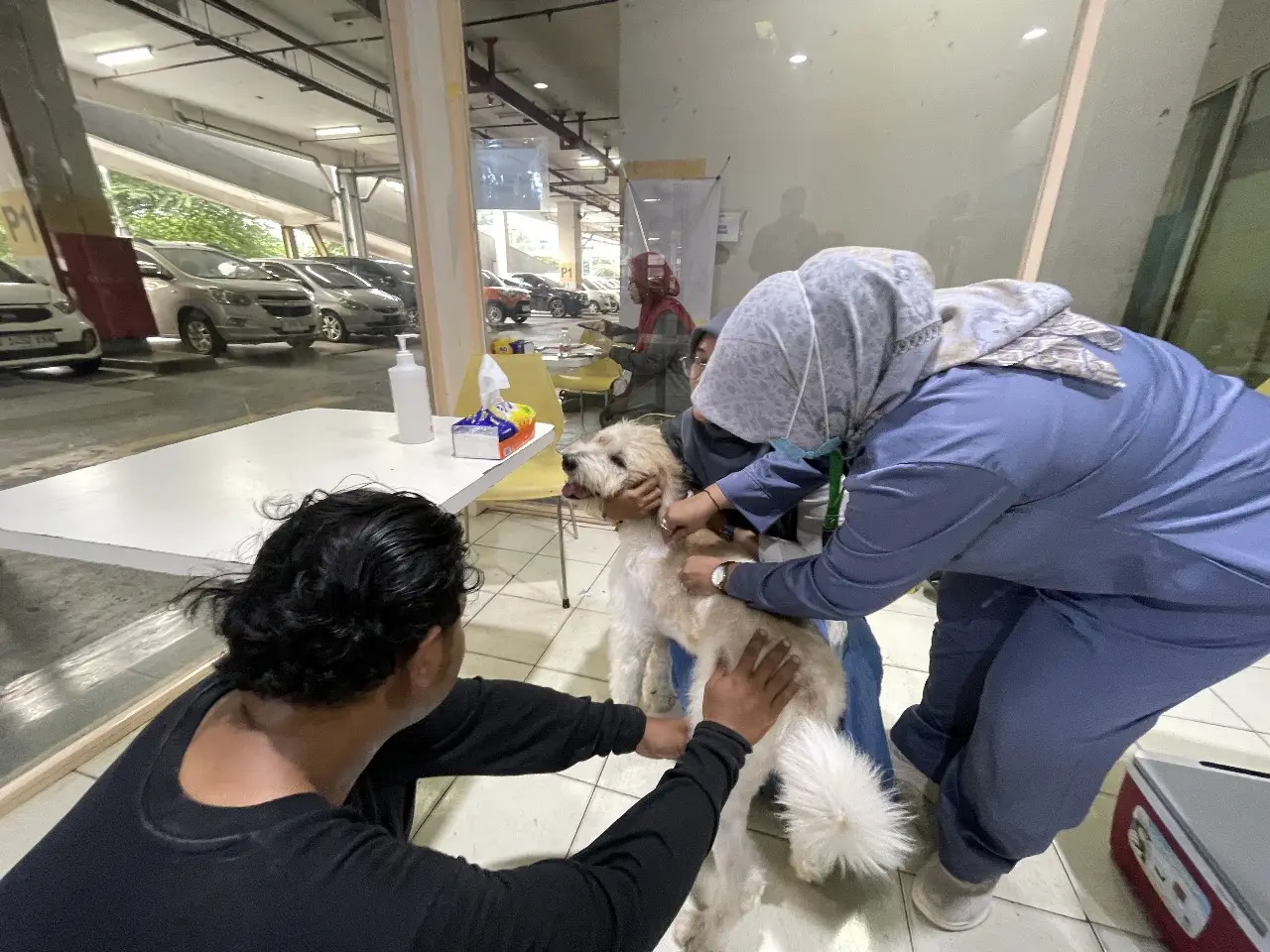 Demi Hewan Kesayangan, Warga Depok Antusias Manfaatkan Vaksinasi Rabies Gratis