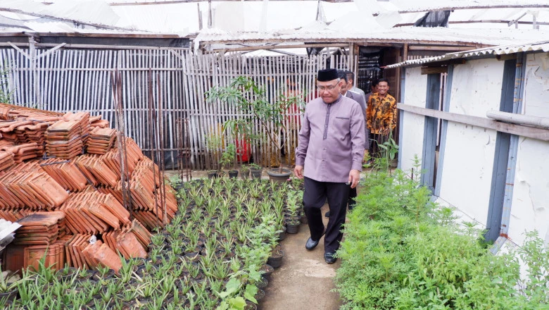 Wali Kota Tinjau Kebun Sekolah Hijau PGRI Depok 2