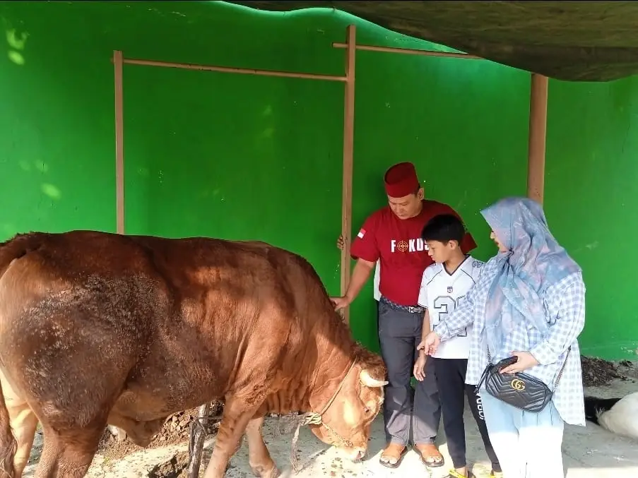 Wujud Syukur dan Kepedulian, Legislator Depok Hamzah Salurkan Daging Kurban ke Yatim