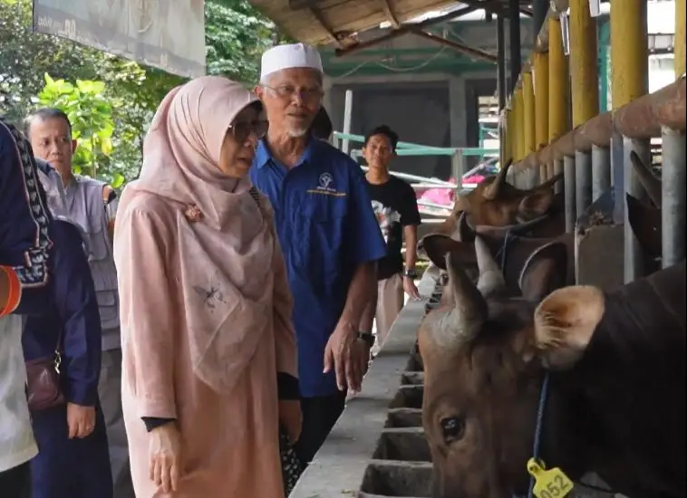 Syarat Lapak Penjual Hewan Kurban di Depok, Wajib Kantongi Izin Warga Sekitar