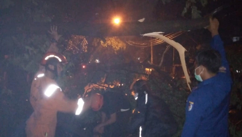 Dinas Damkar dan Penyelamatan Depok Evakuasi Pohon Tumbang di Depok Jaya