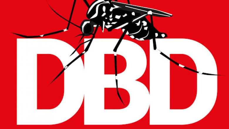 Dinkes Depok Siaga Antisipasi DBD dan Chikungunya di Tengah Pandemi Covid-19